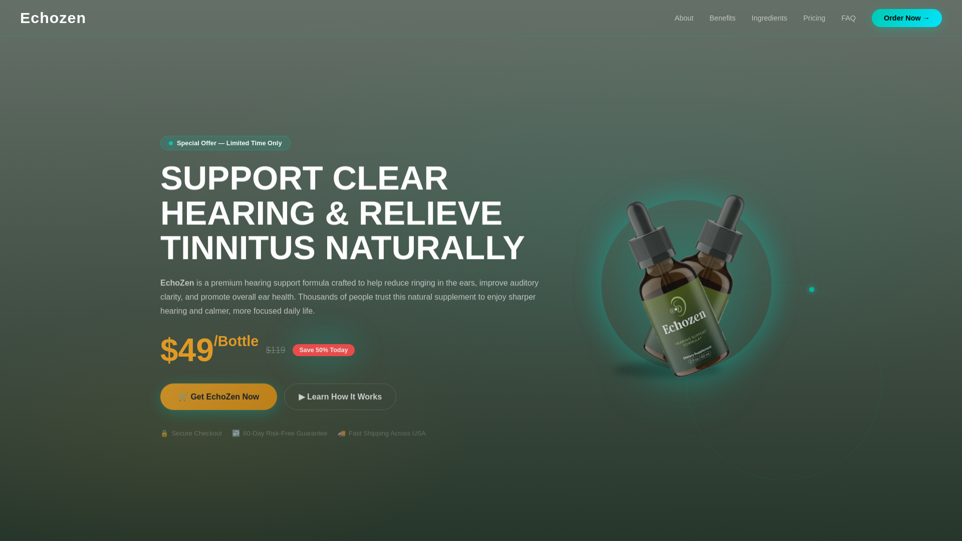 website screenshot of https://officialechozen.com/