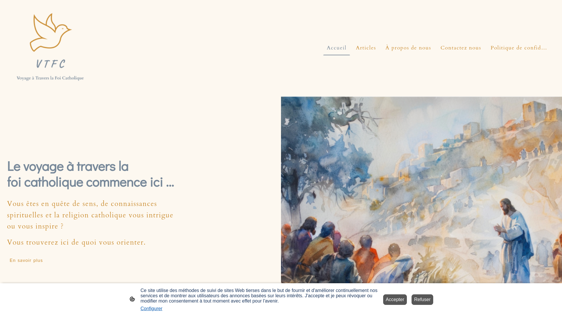 website screenshot of https://vtfc.fr/