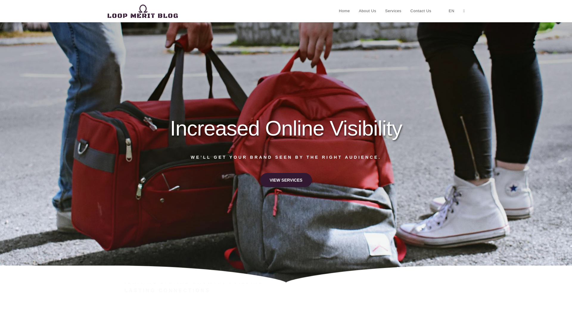 website screenshot of https://horizonmeshroom.com/