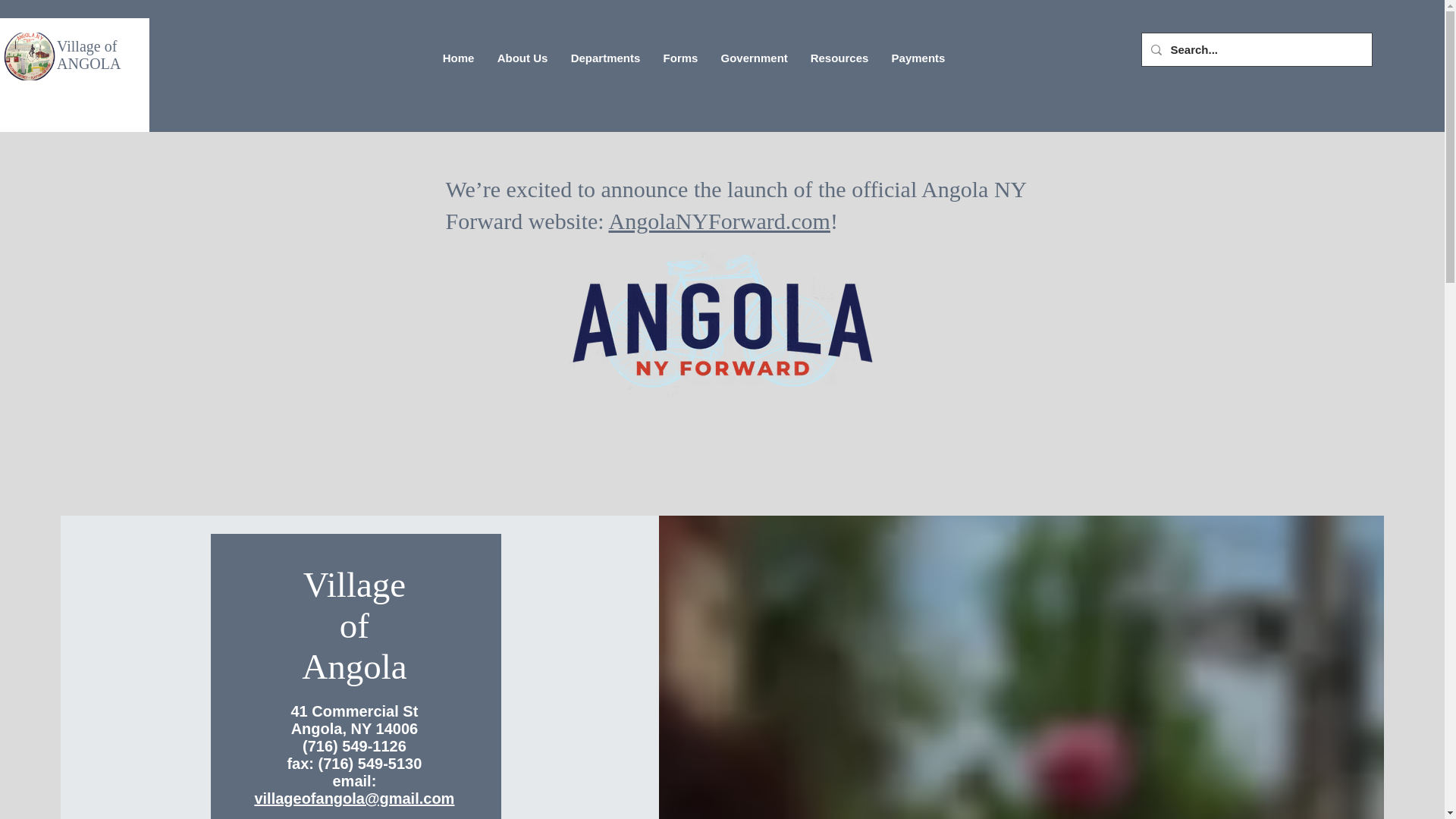 website screenshot of https://villageofangolany.gov/