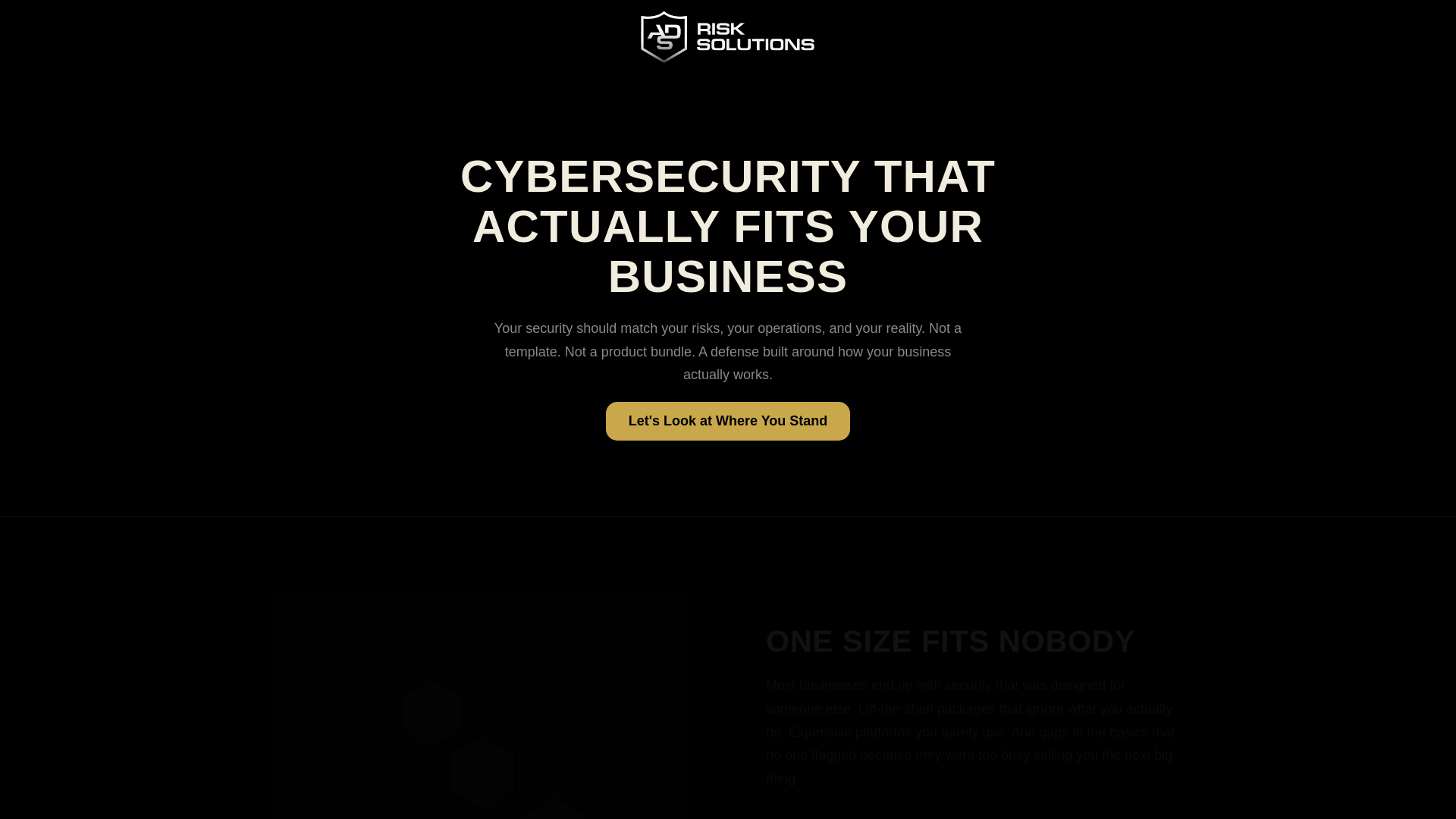 website screenshot of https://ads-risk.pages.dev/
