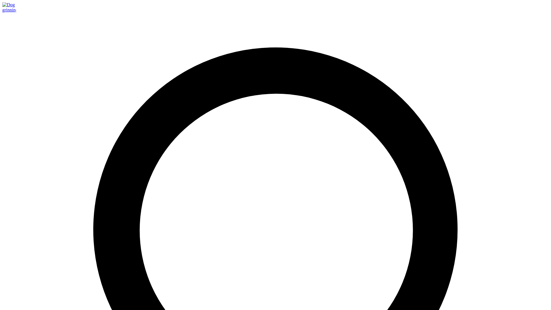 website screenshot of https://justhappypets.pages.dev/