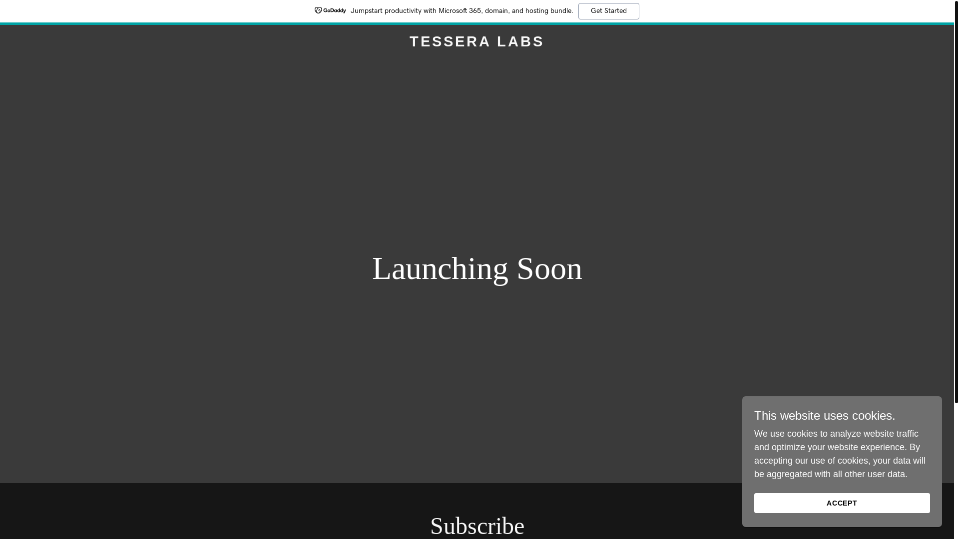 website screenshot of https://tradetesseralabs.com/