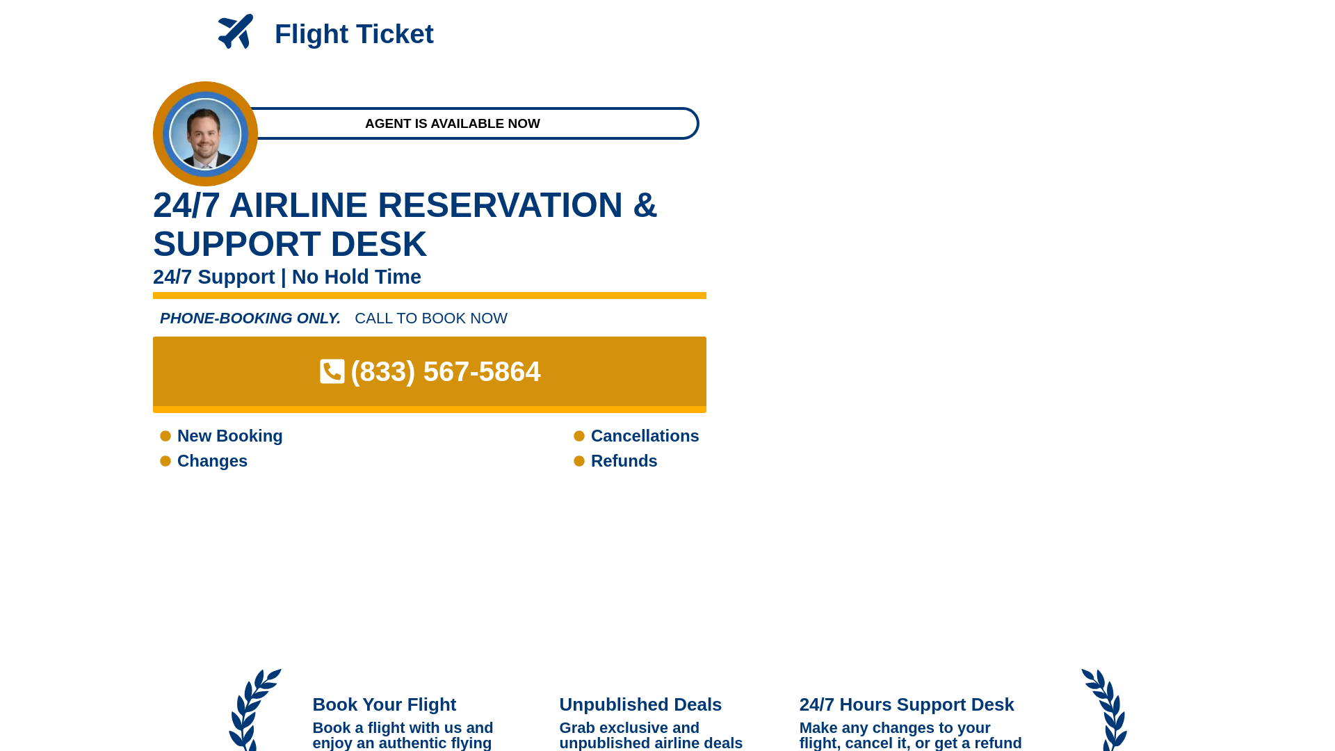 website screenshot of https://flightticket4u.shop