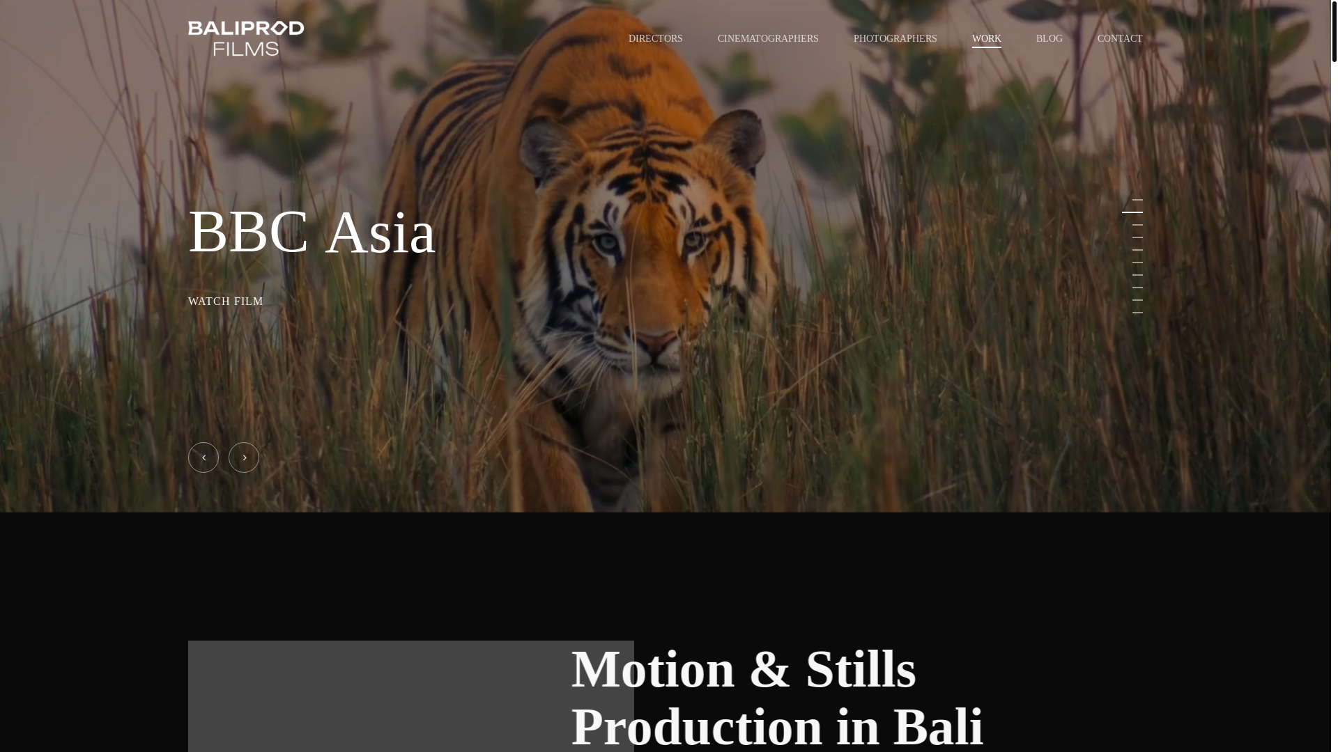 website screenshot of https://baliprodfilms.com/