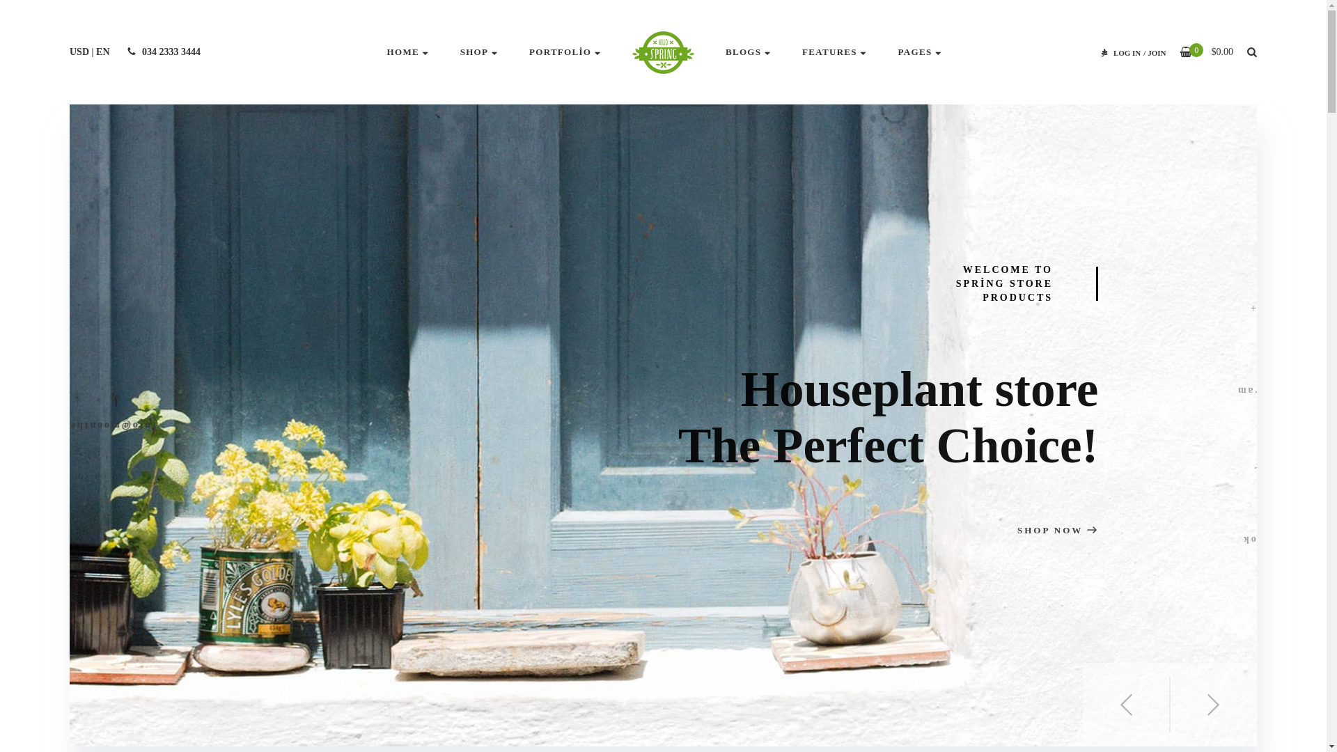 website screenshot of https://fidantopu.com/