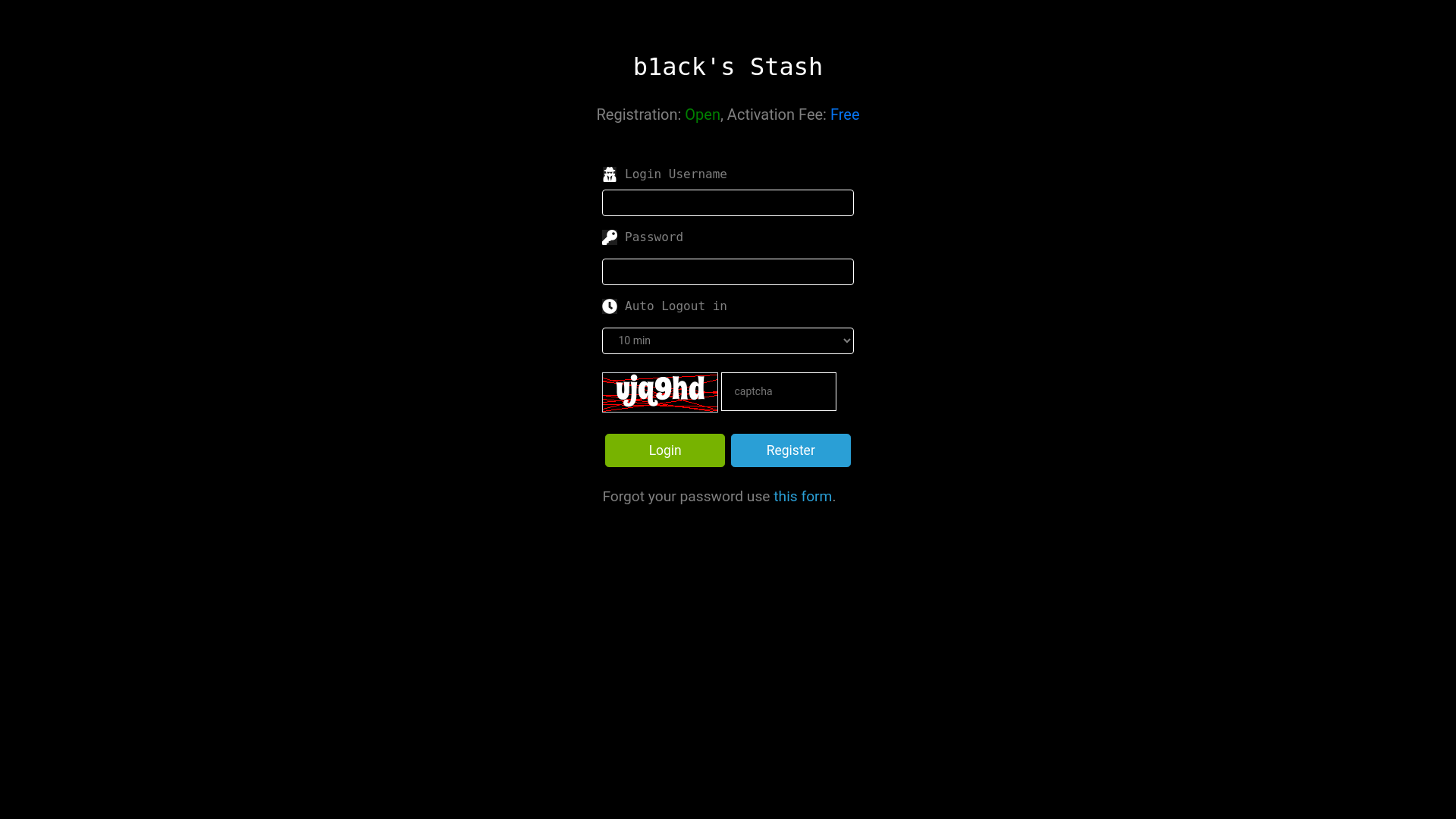 website screenshot of https://b1ackstash.cx/