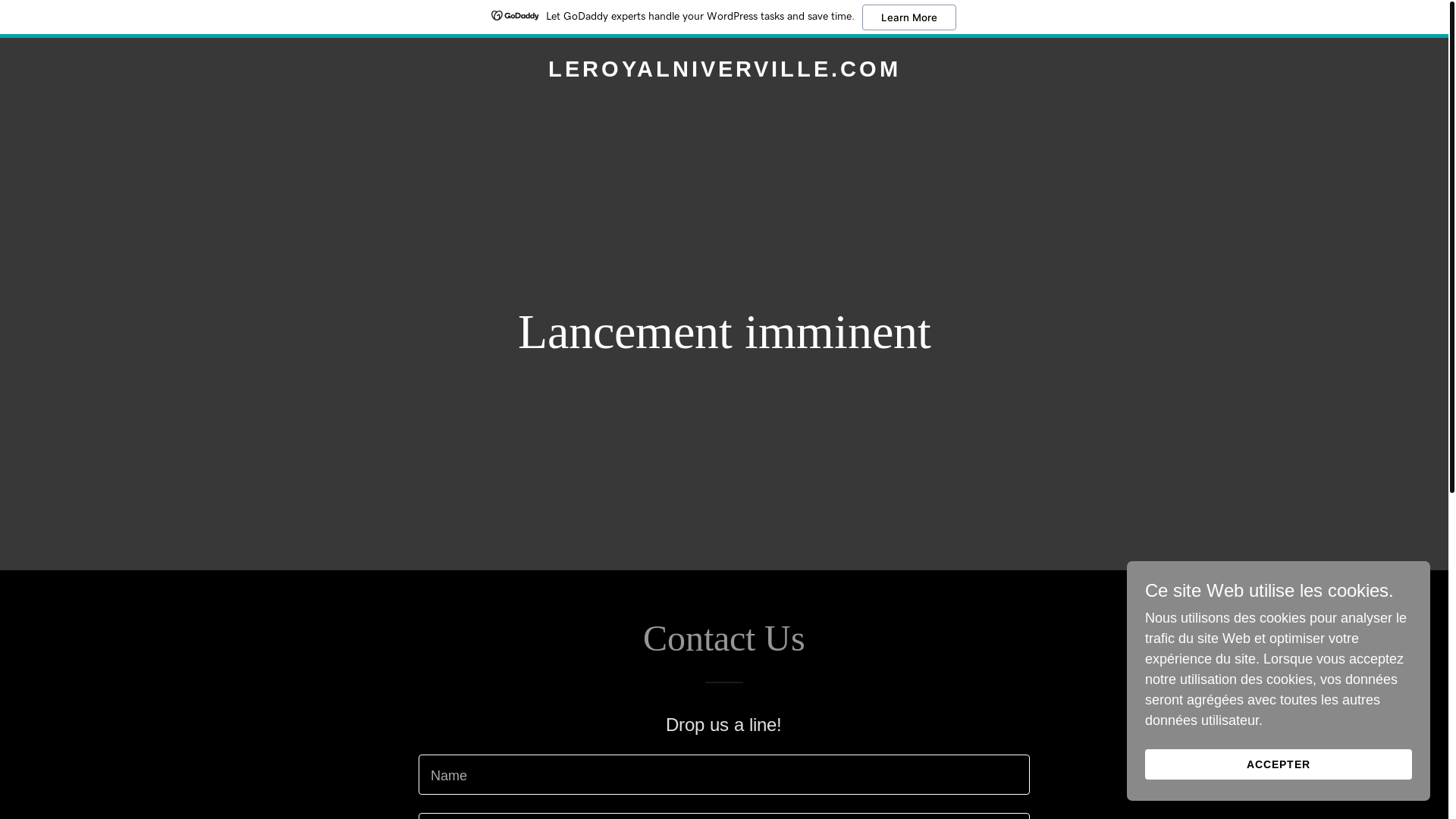 website screenshot of https://leroyalniverville.com/