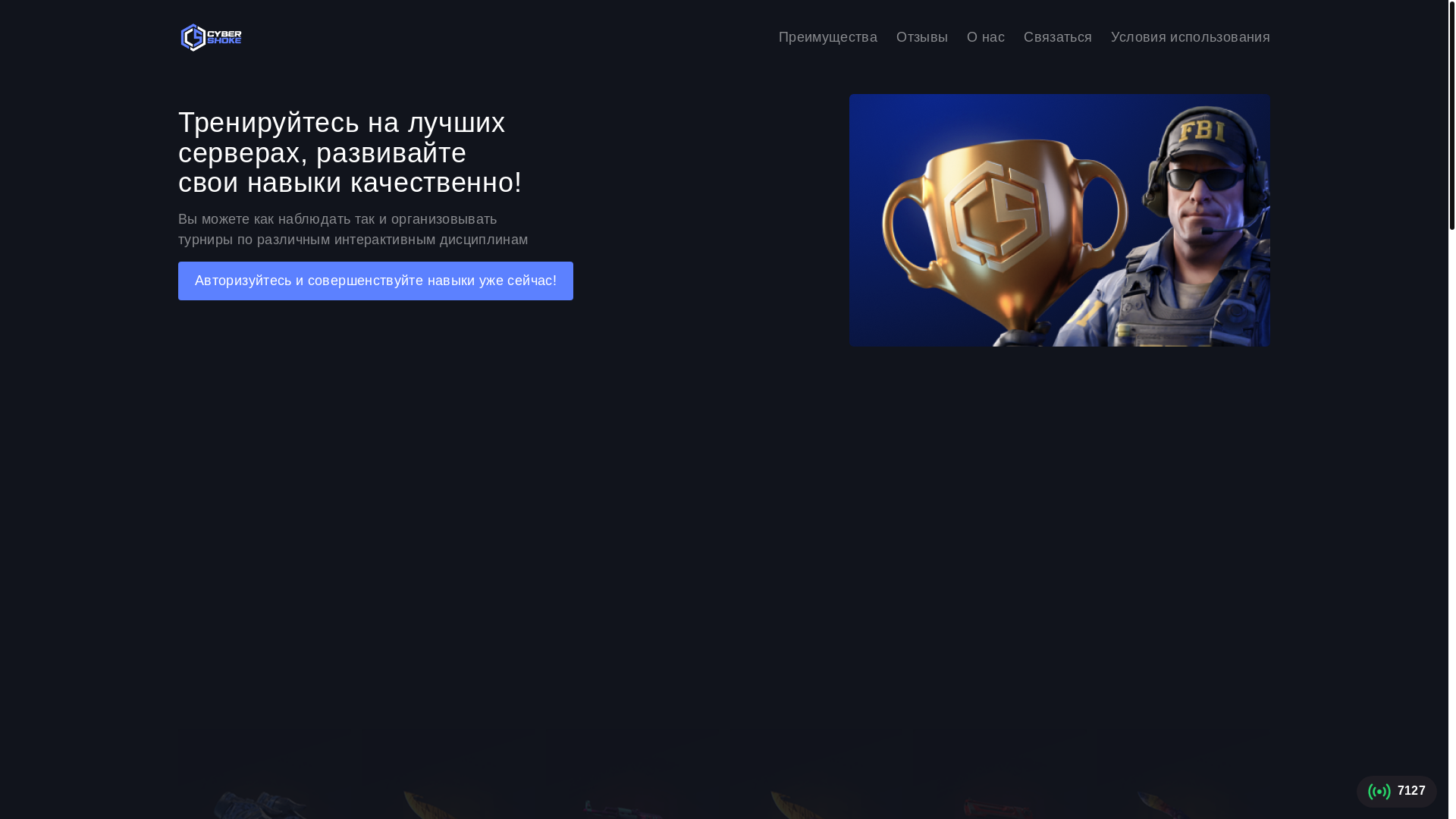 website screenshot of https://cybershome.com/
