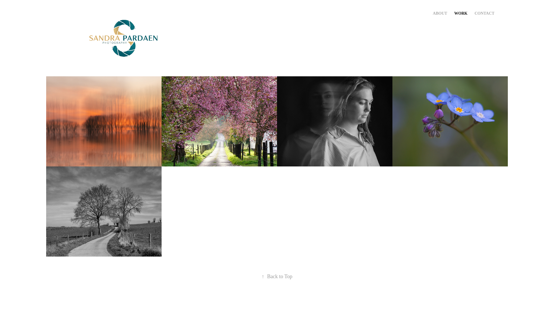 website screenshot of https://sandrapardaen.com/