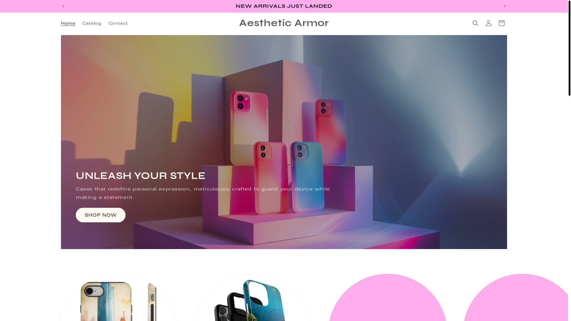 website screenshot of https://aestheticarmor.shop/