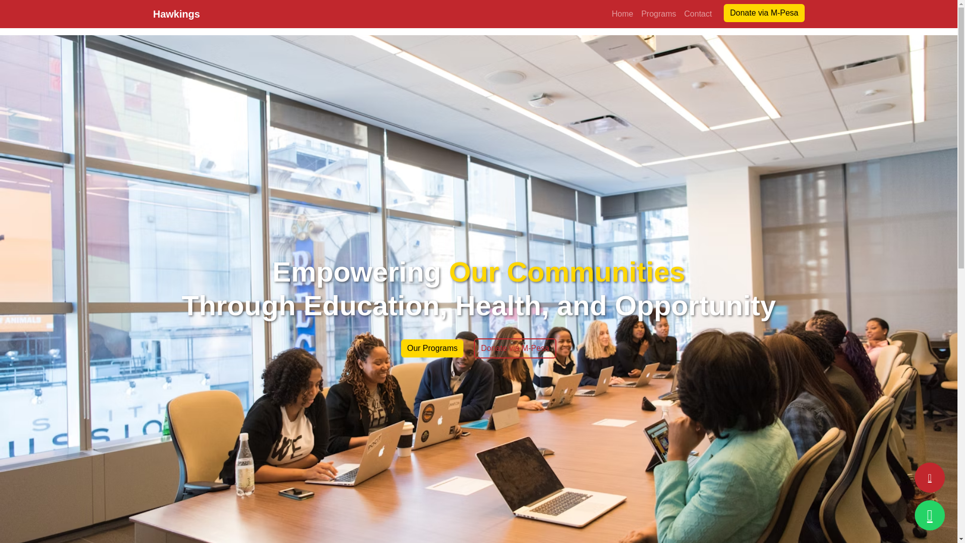 website screenshot of https://hawkings.co.ke/