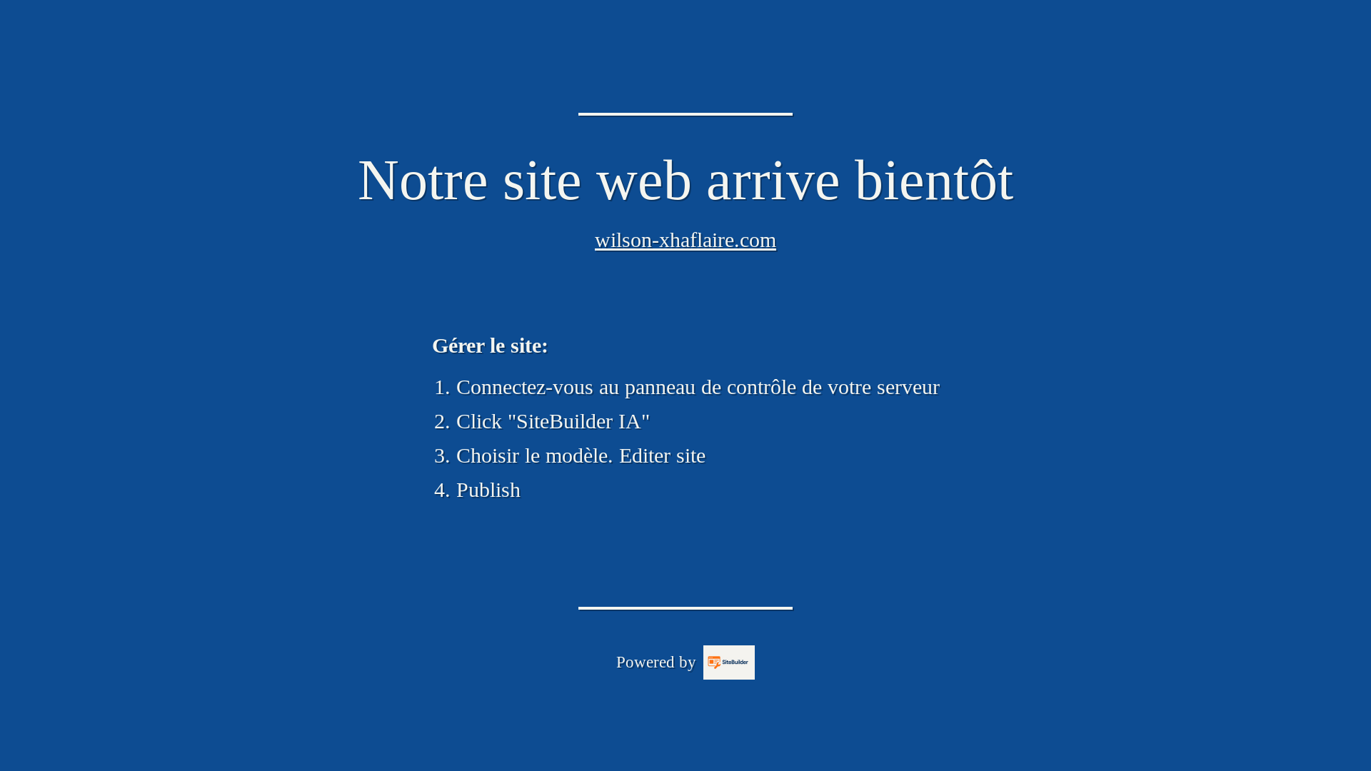 website screenshot of https://wilson-xhaflaire.com/