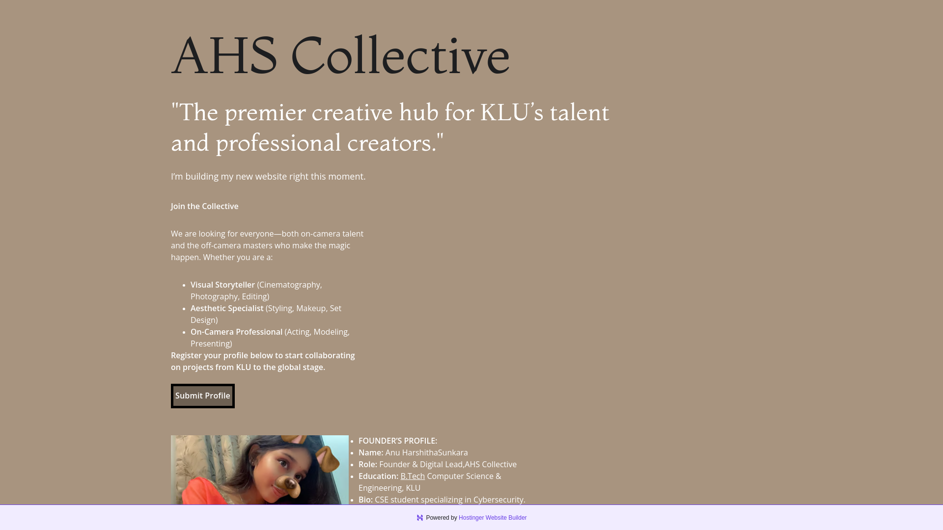 website screenshot of https://ahscollective.com/