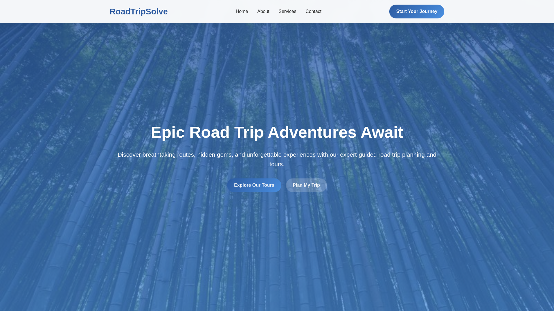 website screenshot of https://roadtripsolve.shop/