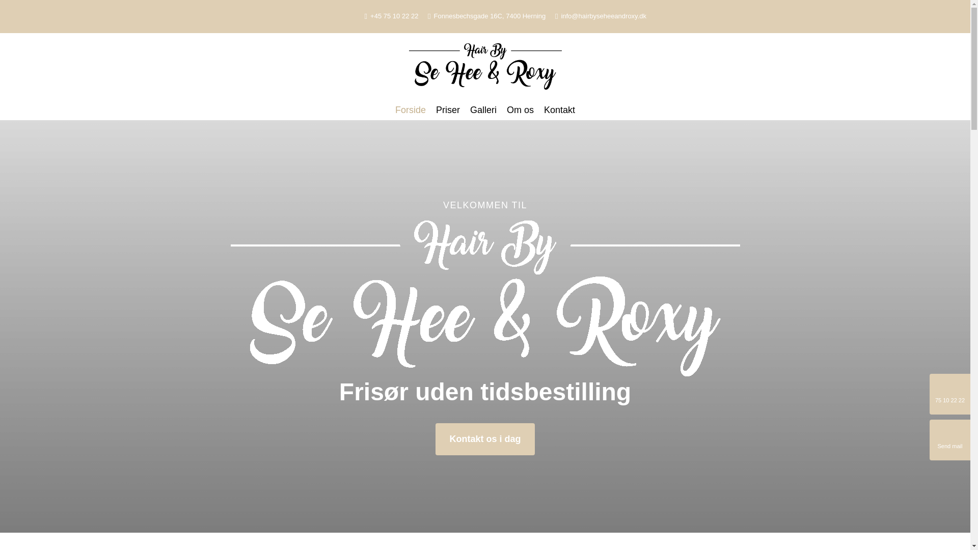 website screenshot of https://hairbyseheeandroxy.dk/