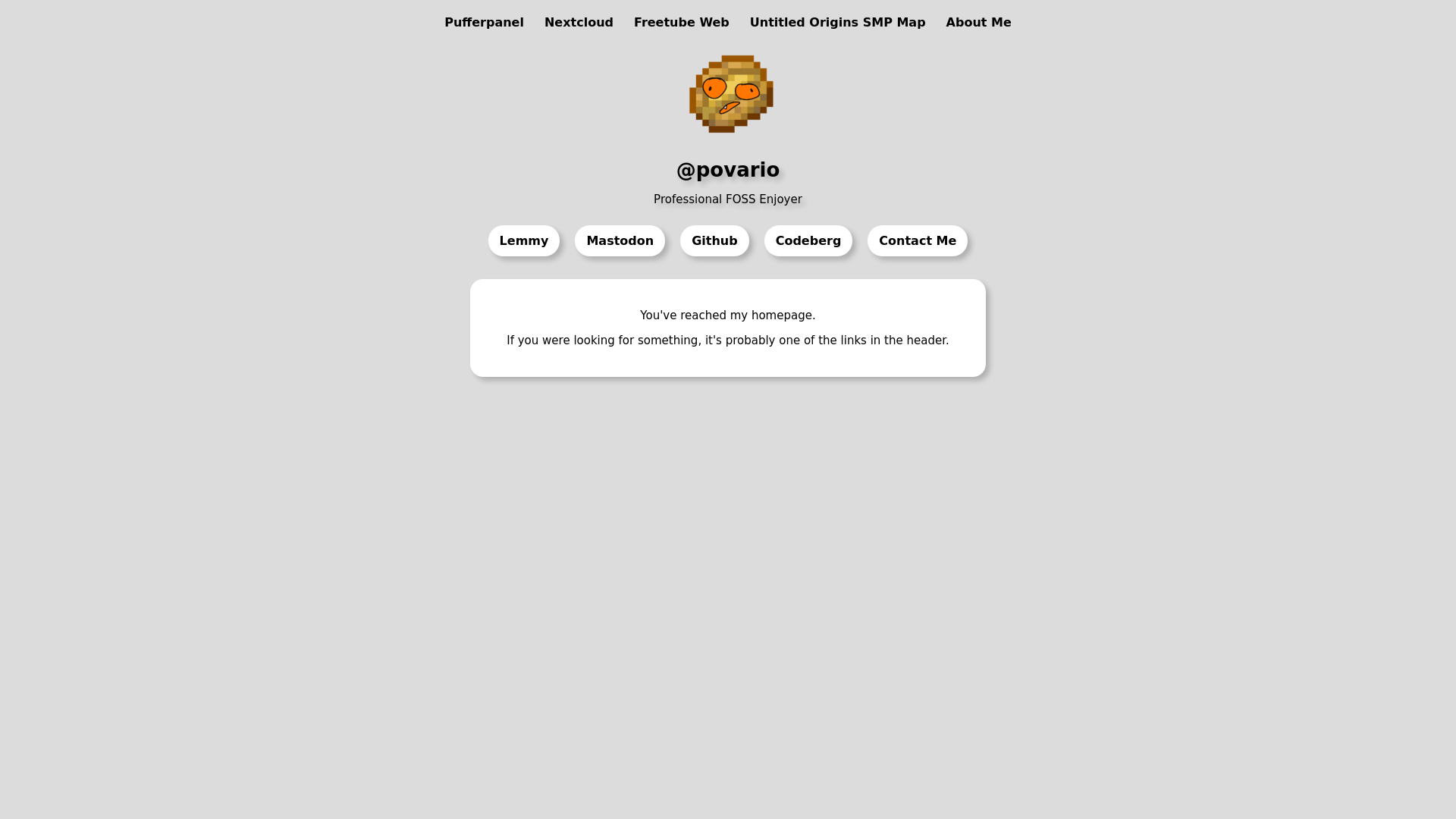website screenshot of https://povario.com/