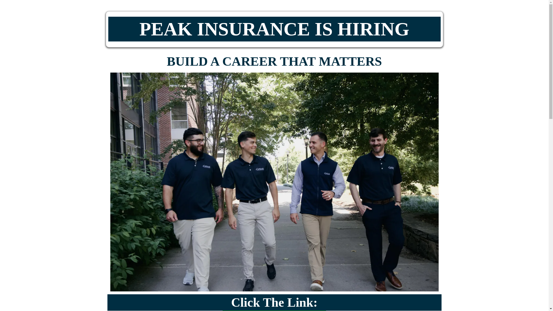 website screenshot of https://peakhiring.org/
