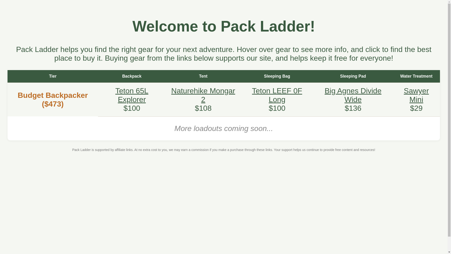 website screenshot of https://packladder.com/