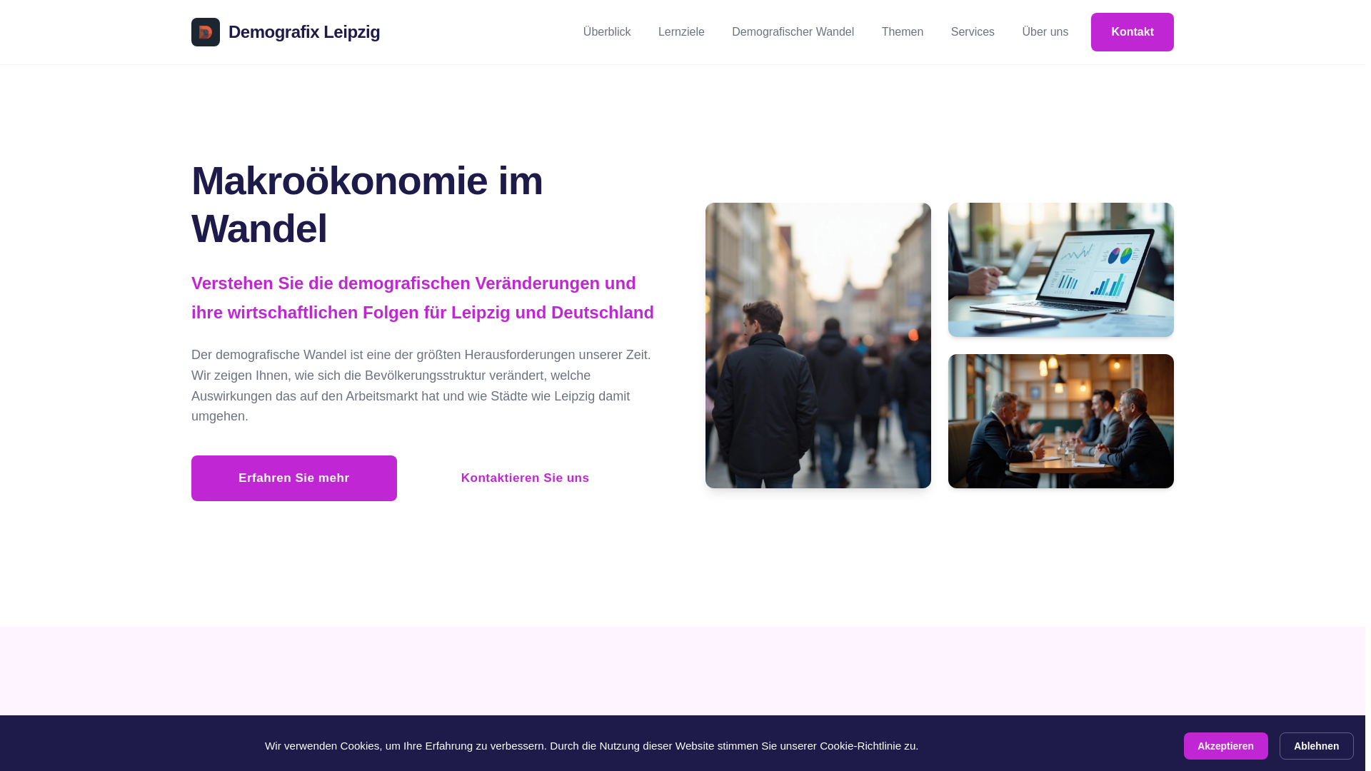 website screenshot of https://demografix-leipzig.com/