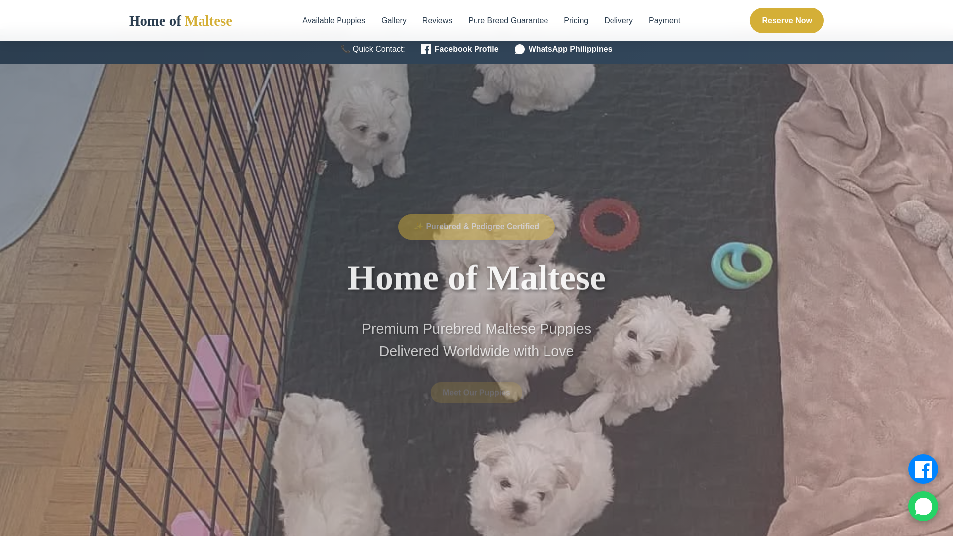 website screenshot of https://maltesehomes.org