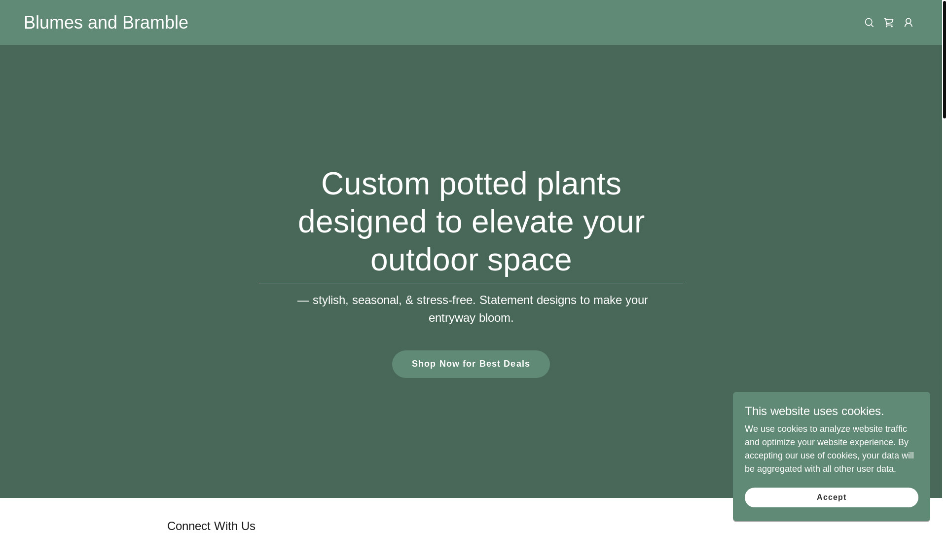 website screenshot of https://blumesandbramble.com/