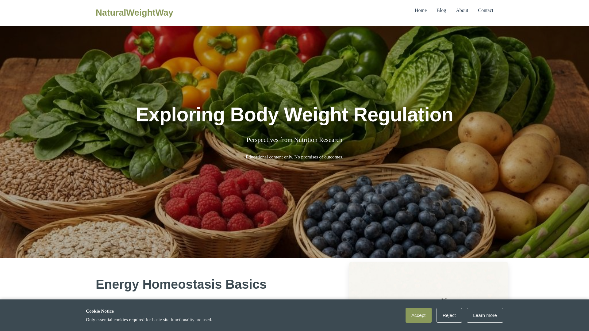 website screenshot of https://naturalweightwayaz.info/