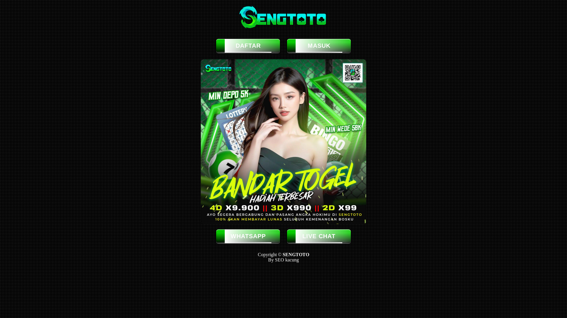 website screenshot of https://endochoice2.pages.dev/