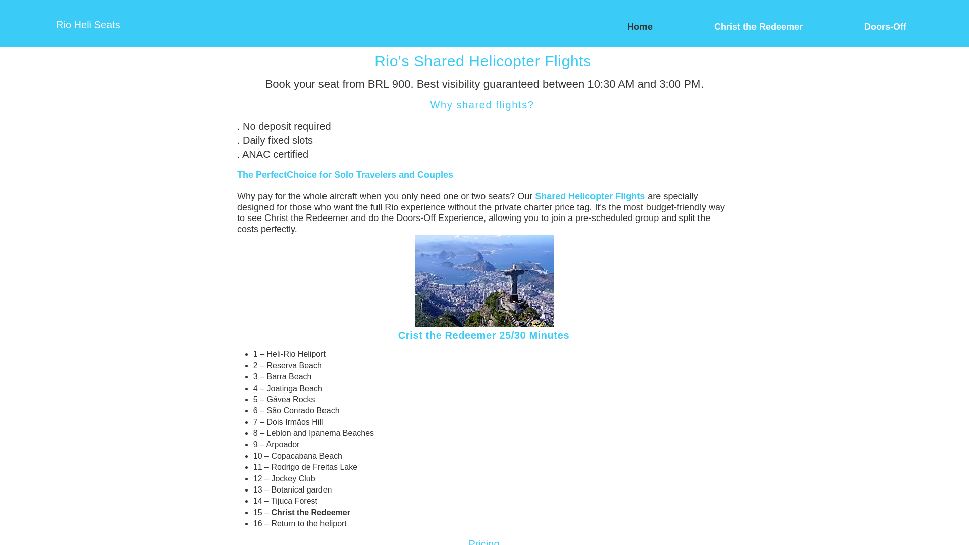 website screenshot of https://rioheliseats.com