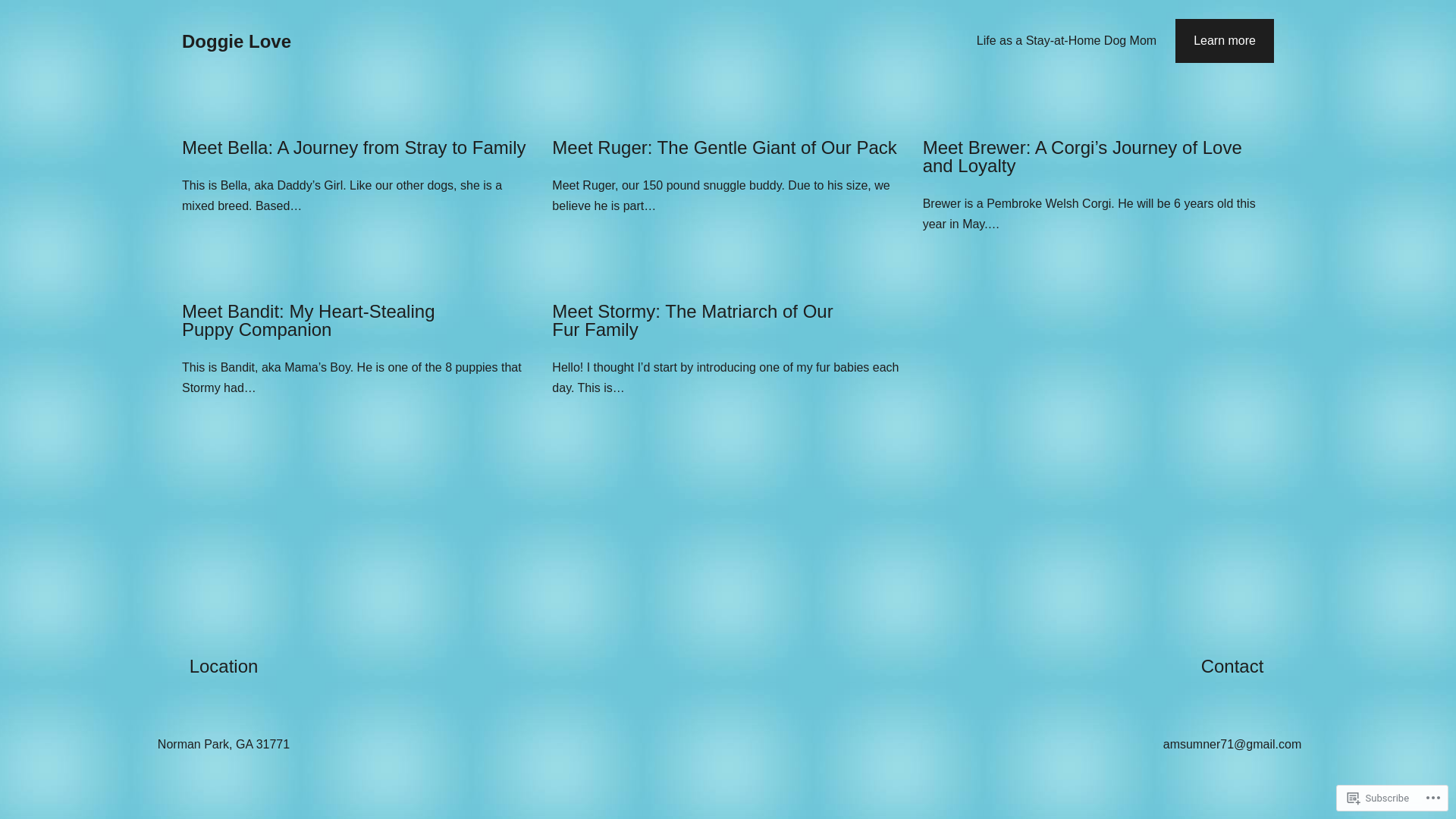 website screenshot of https://stayathomedogmom.org