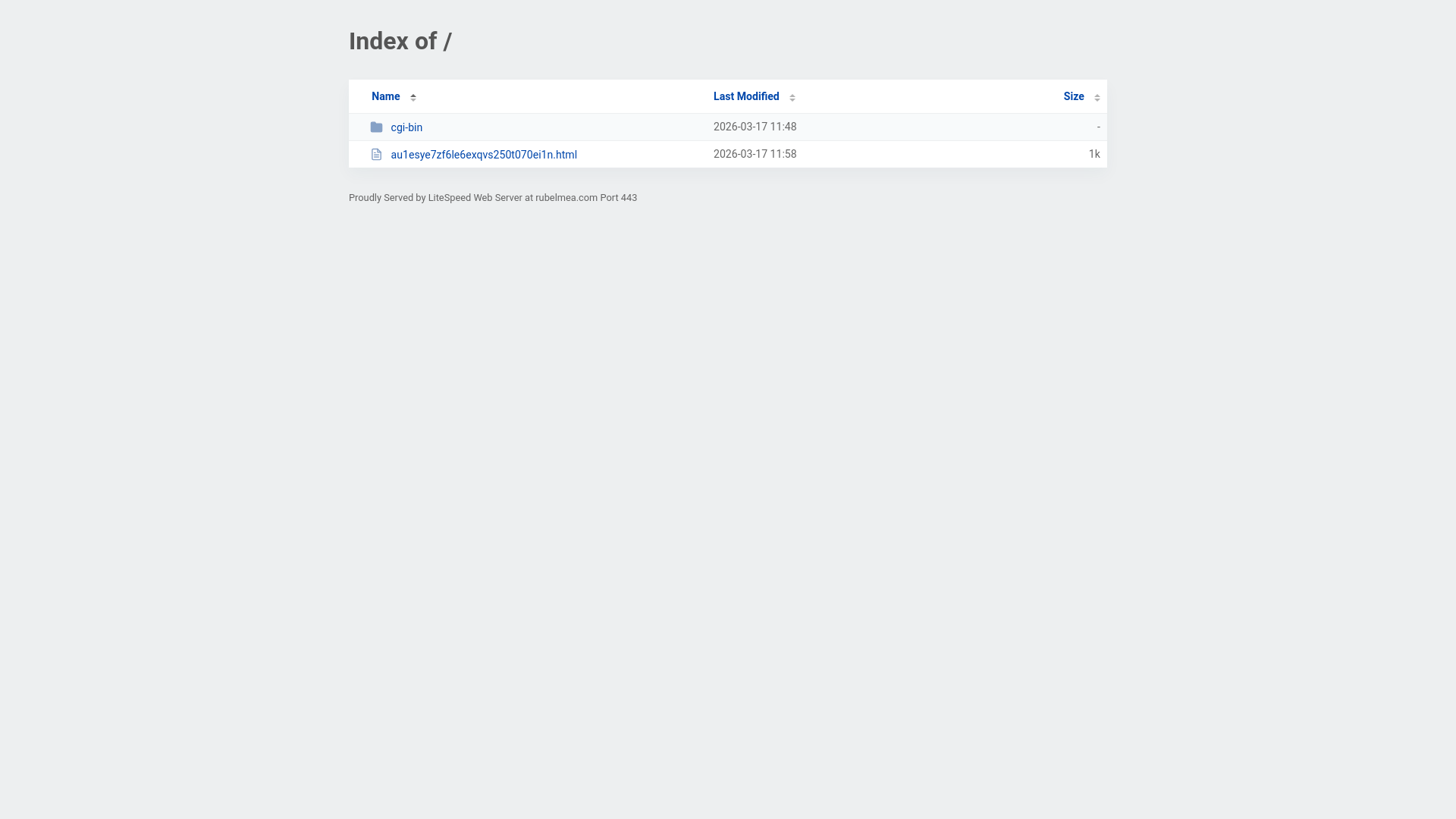 website screenshot of https://rubelmea.com/
