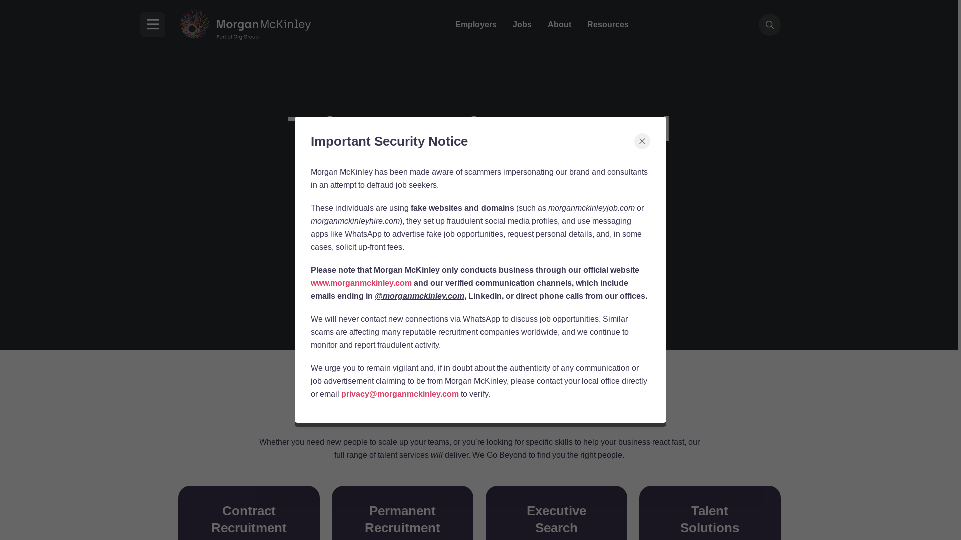 website screenshot of http://www.morganmckinley.ie/