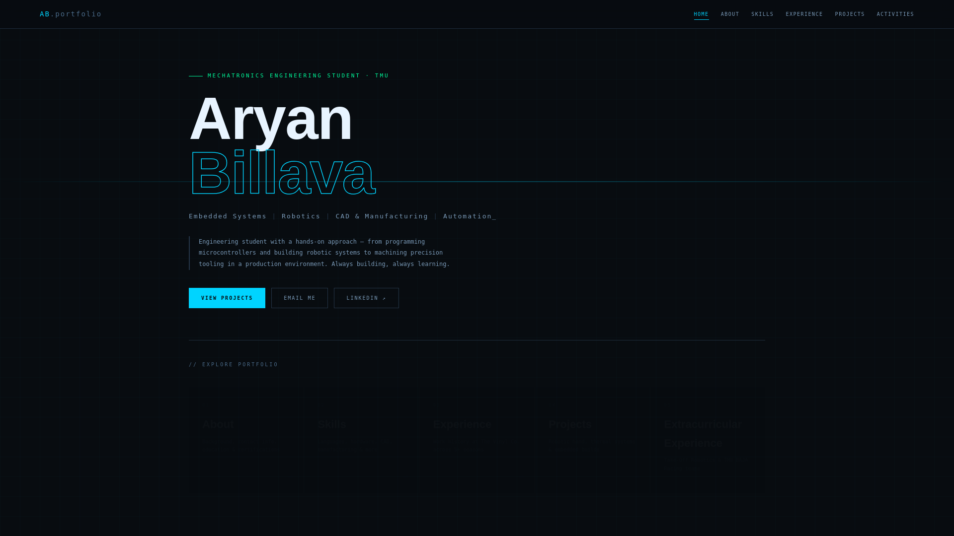 website screenshot of https://aryanbillava.com/
