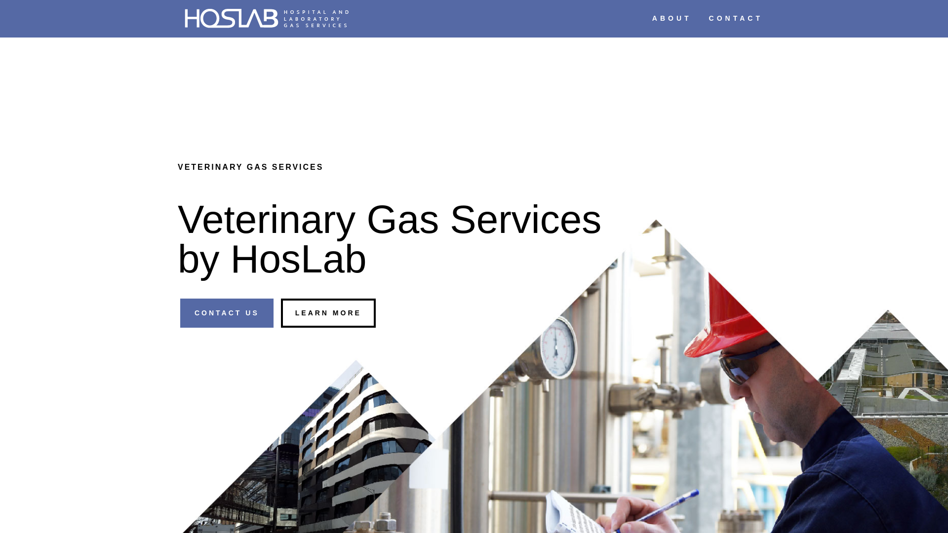 website screenshot of https://veterinarygasservices.com.au