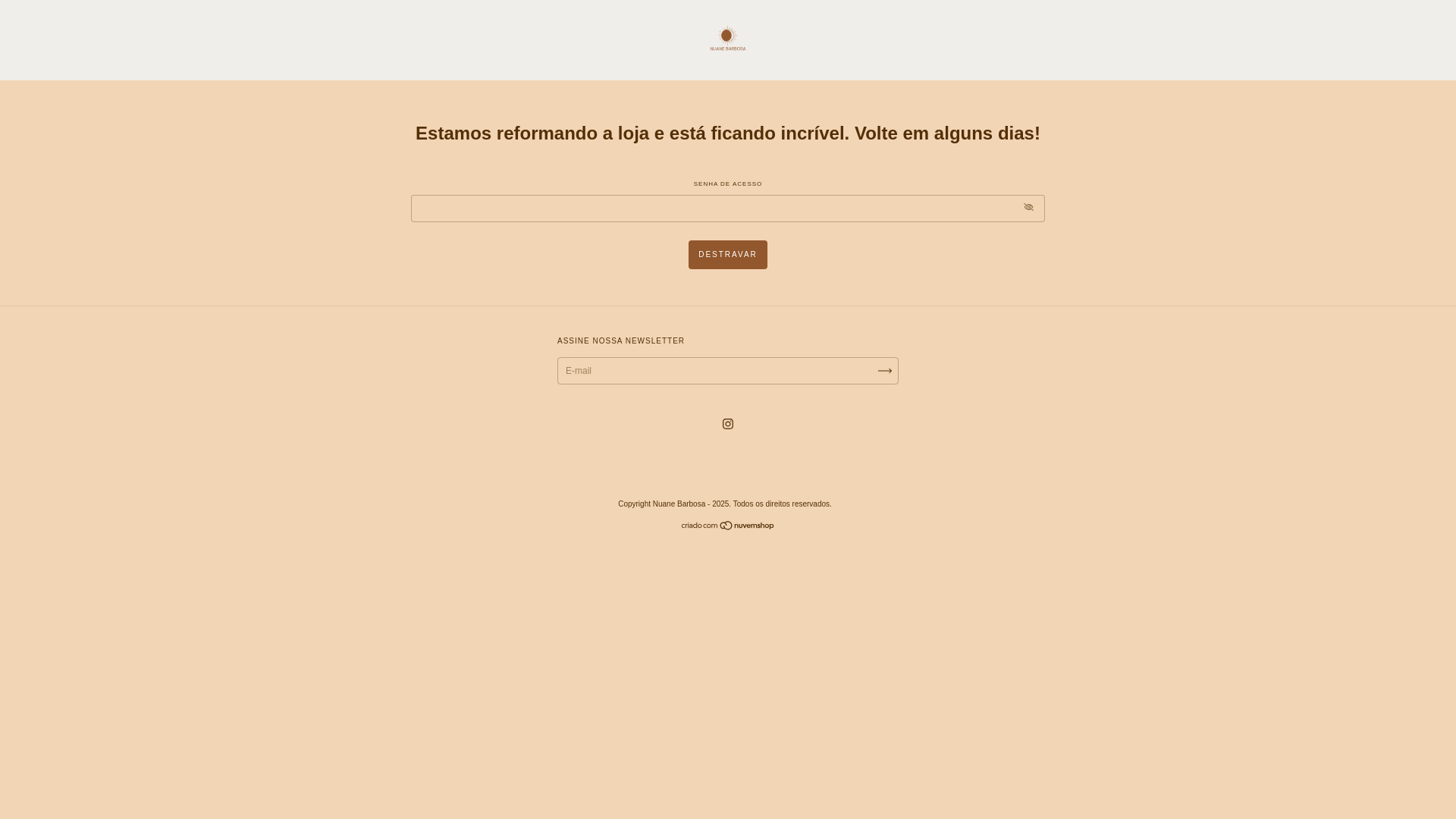website screenshot of https://nuanebarbosa.com.br/