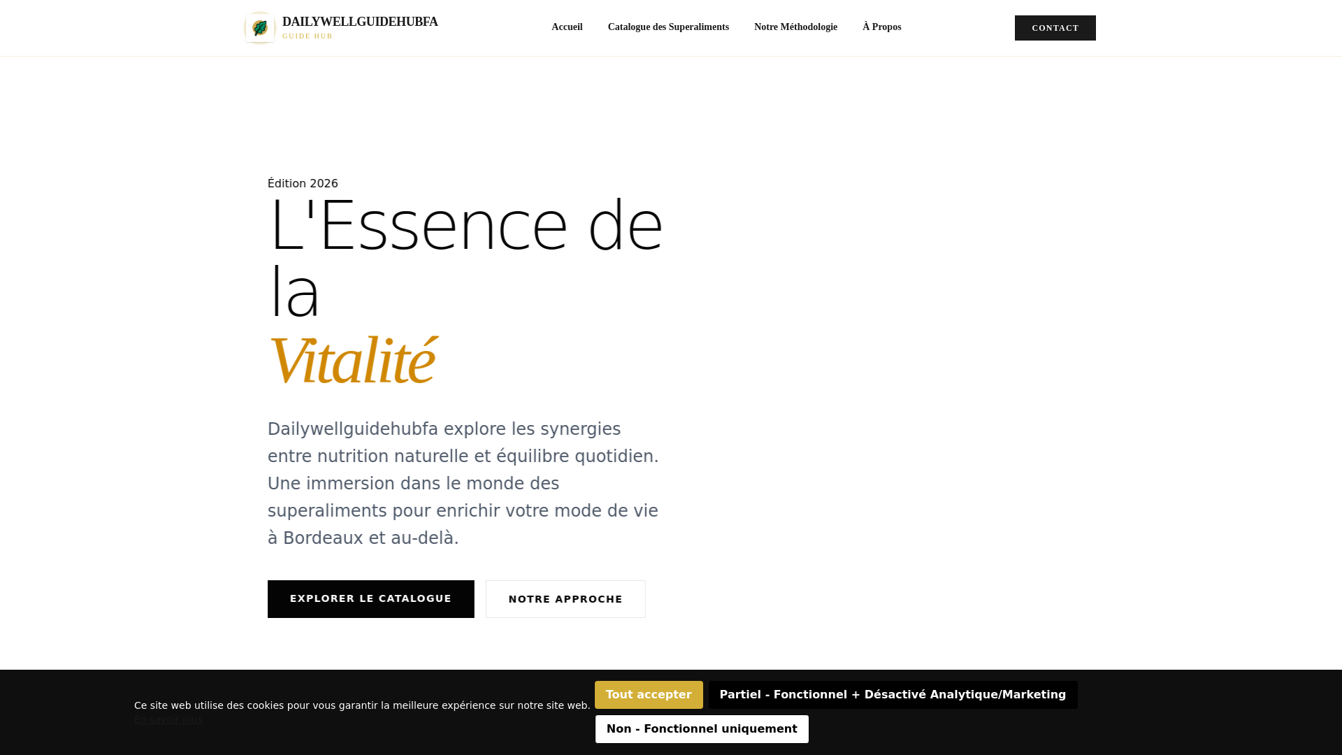 website screenshot of https://dailywellguidehubfa.info/