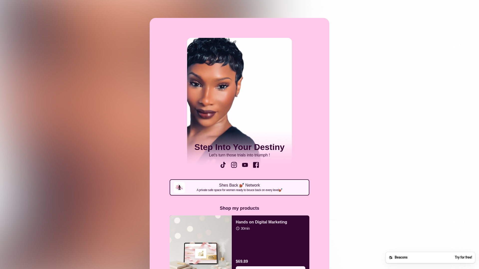 website screenshot of https://whitneysdestiny.com/