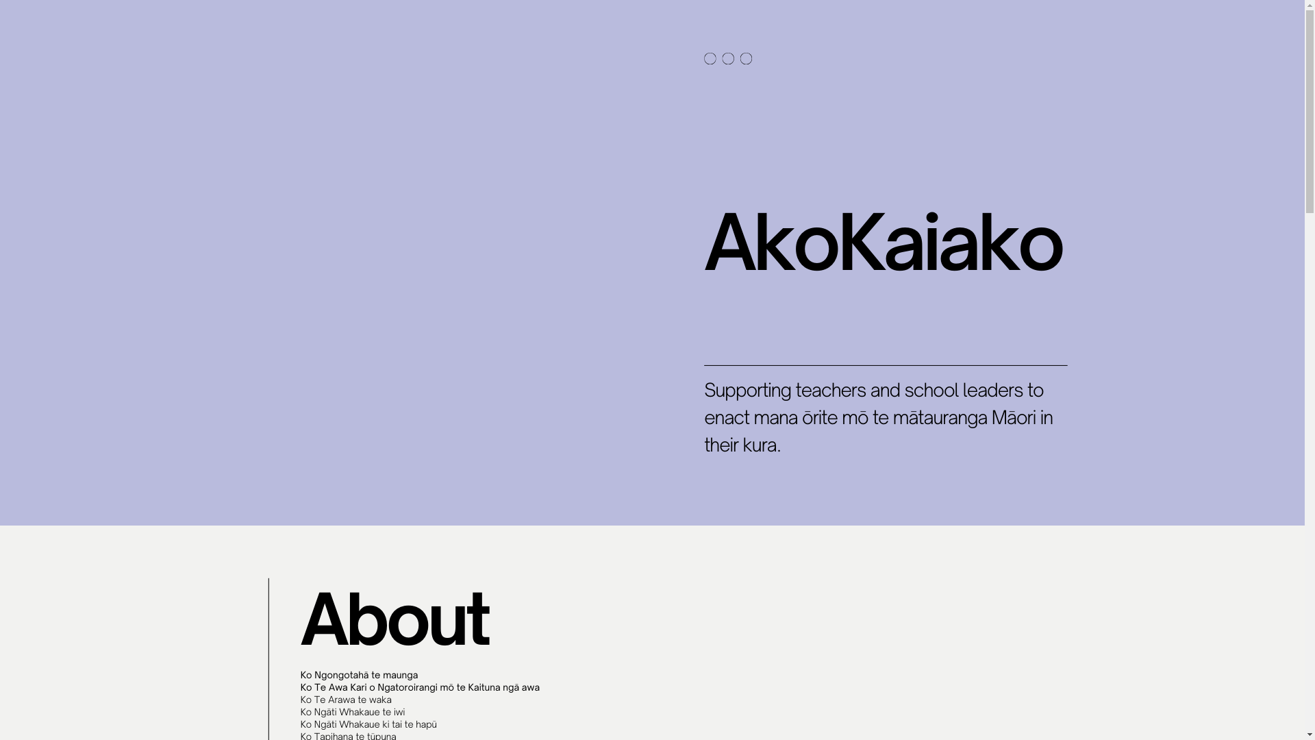 website screenshot of https://akokaiako.com/