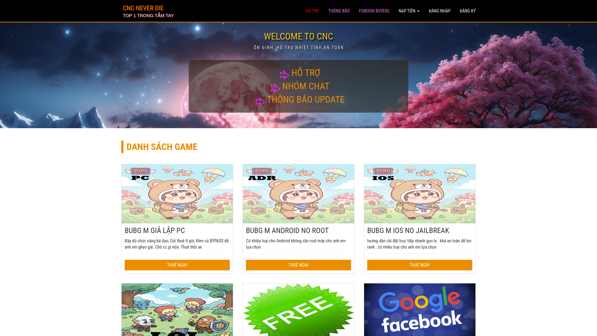 website screenshot of https://cnchax.com