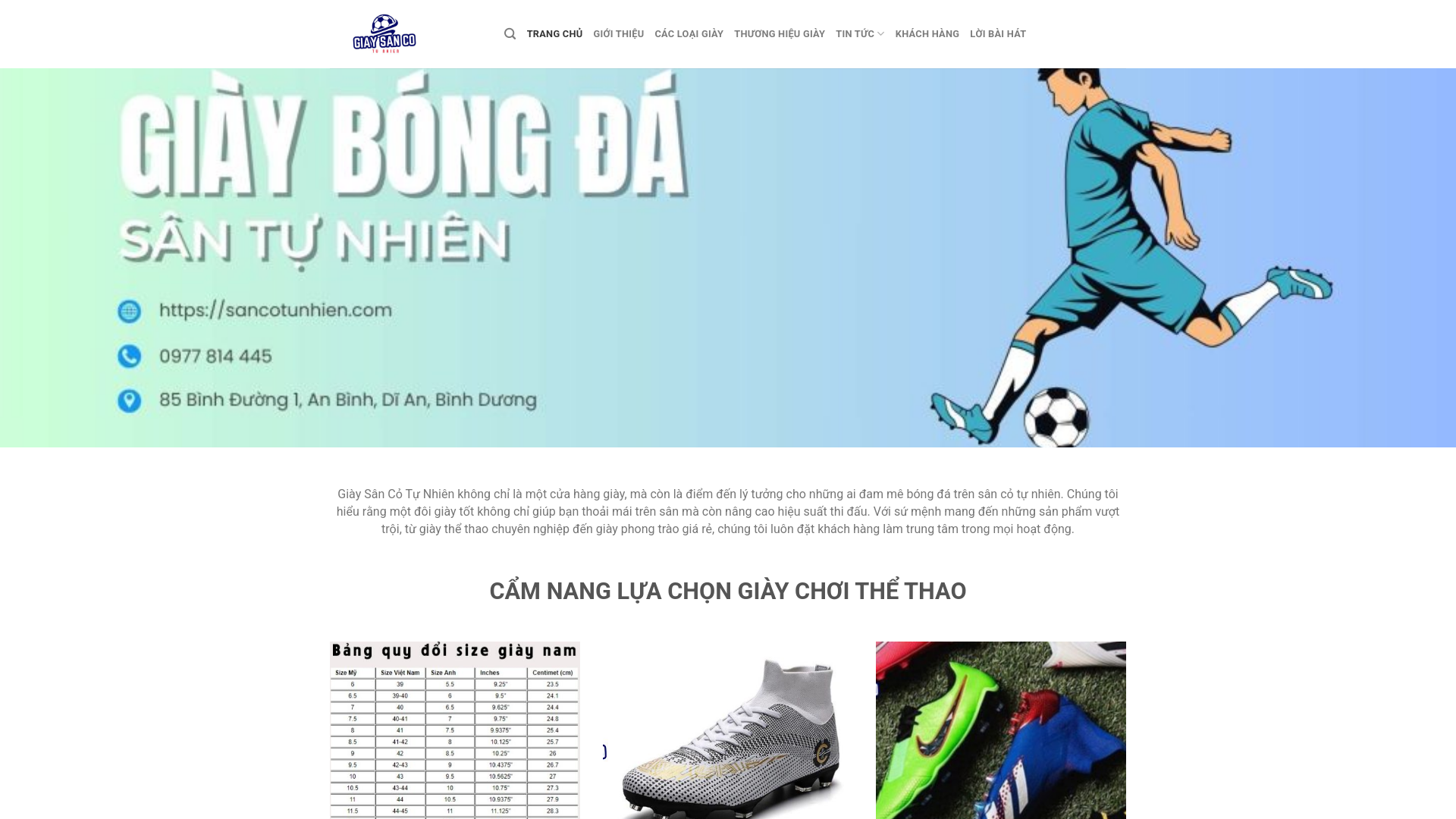 website screenshot of https://giaysancotunhien.org/