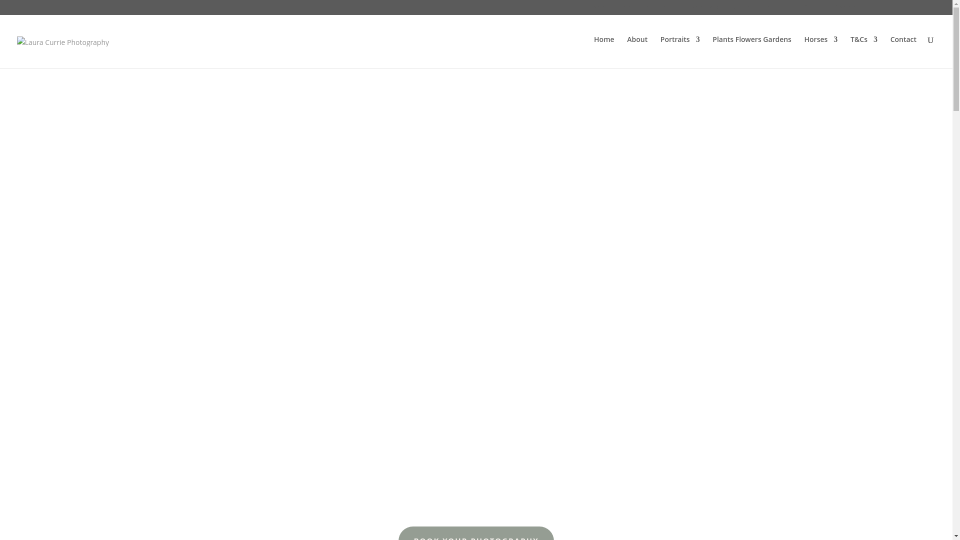 website screenshot of https://lauracurrie-com.pages.dev/
