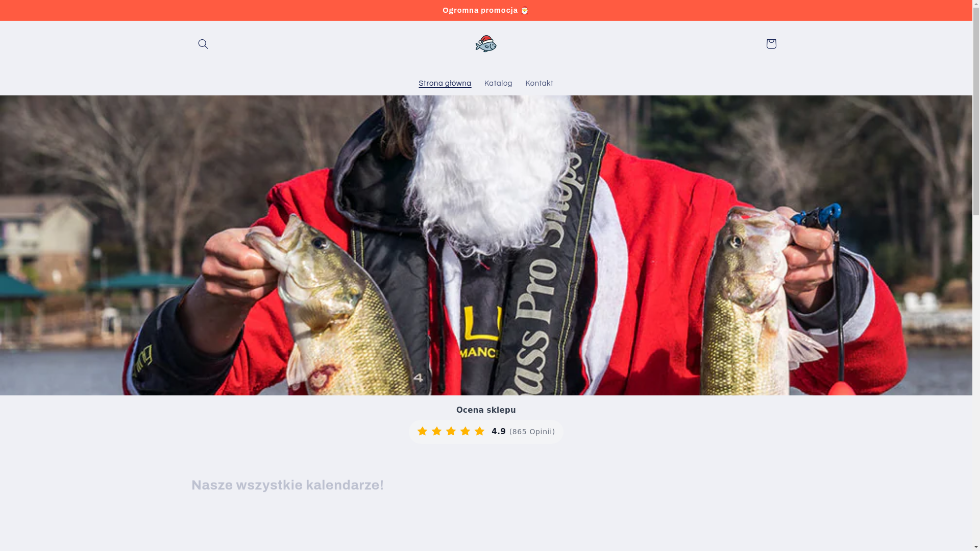 website screenshot of https://swiatecznarybka.com/