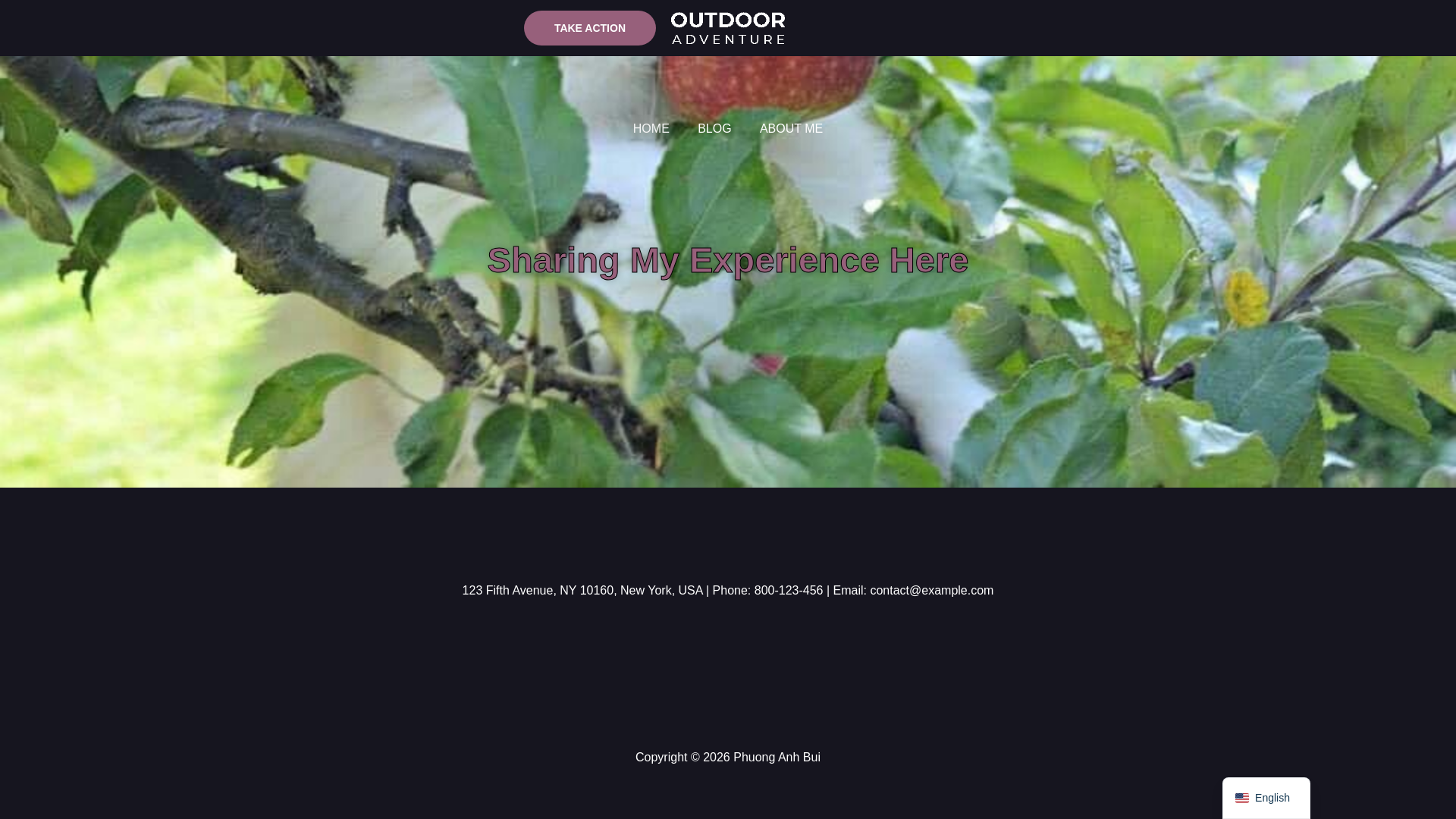 website screenshot of https://phuonganhbui.com/