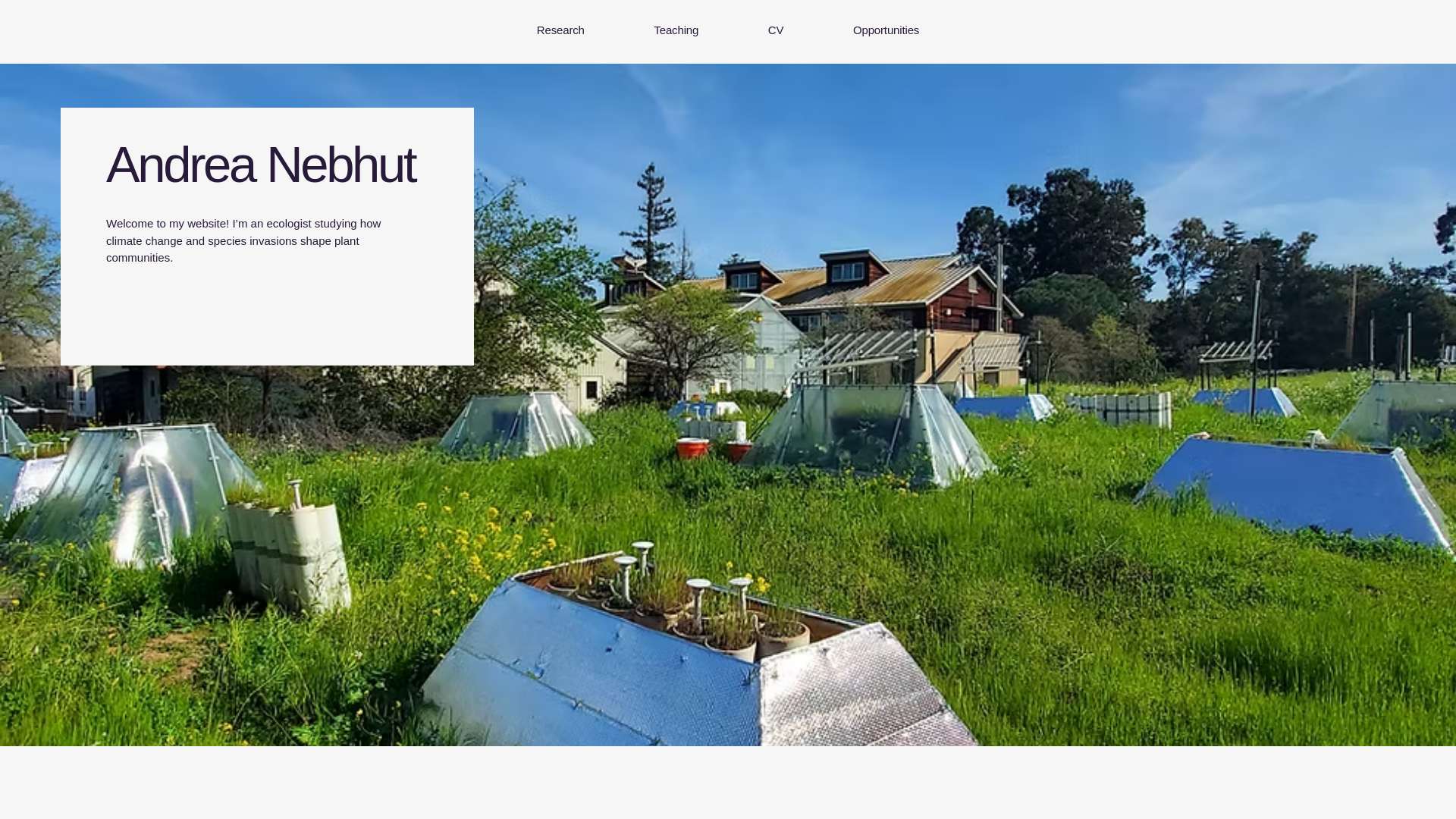 website screenshot of https://andreanebhut.com/