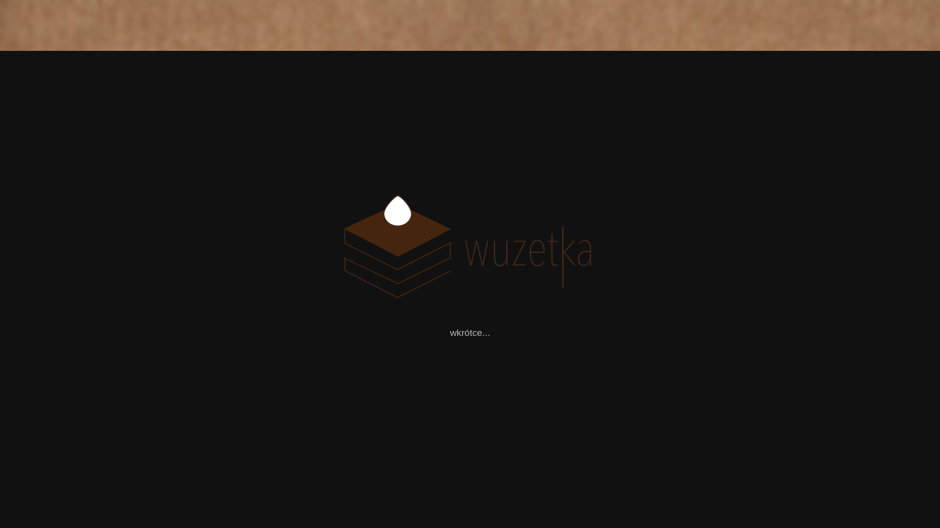 website screenshot of https://wuzetkastudio.pl/