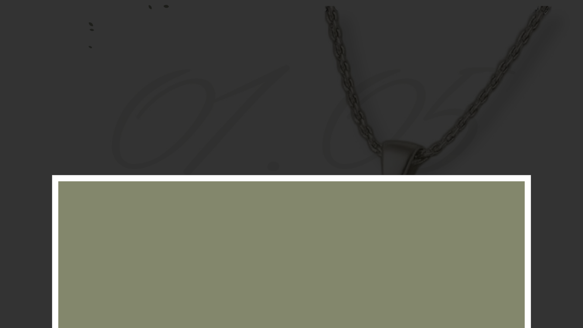 website screenshot of https://bekbol-elina01-05-26.pages.dev/