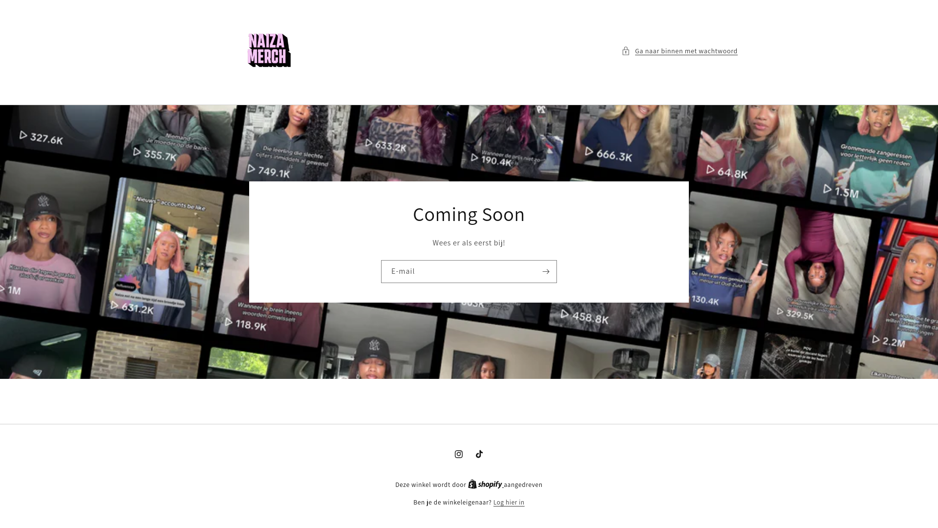 website screenshot of https://naizamerchandise.nl/