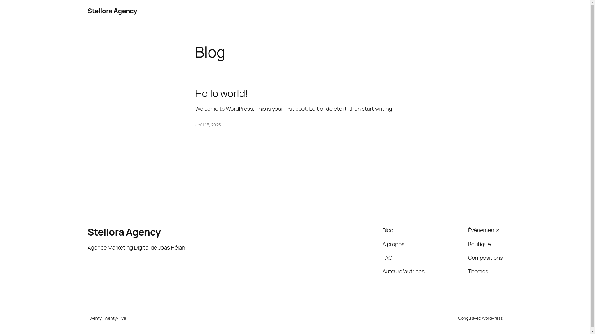 website screenshot of https://stellora-agency.com/