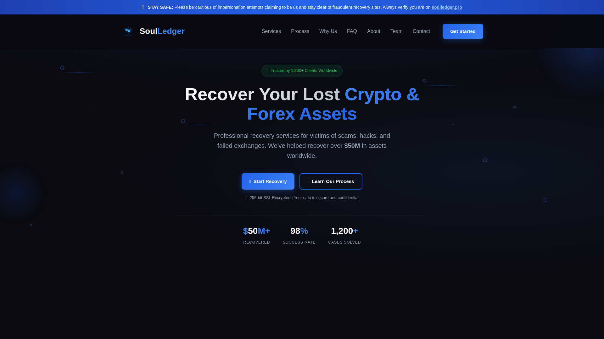 website screenshot of https://soulledger.pro/