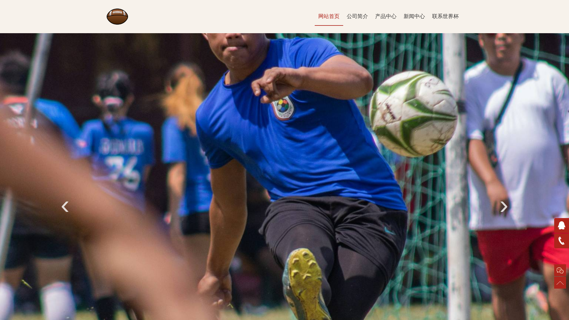 website screenshot of https://cn-fast-cwc.com/